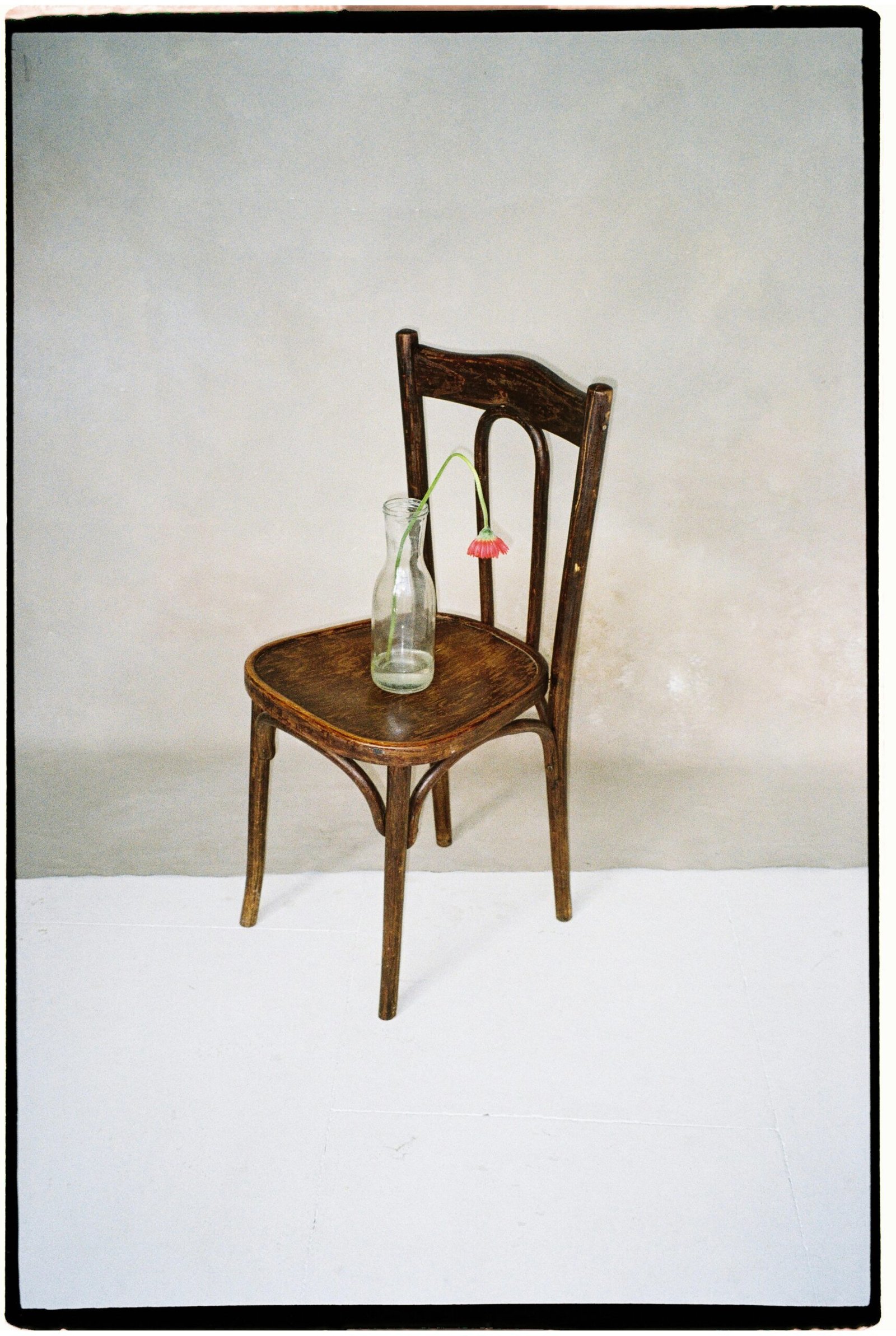 Rustic wooden chair holds a glass bottle with a single pink flower on white background.