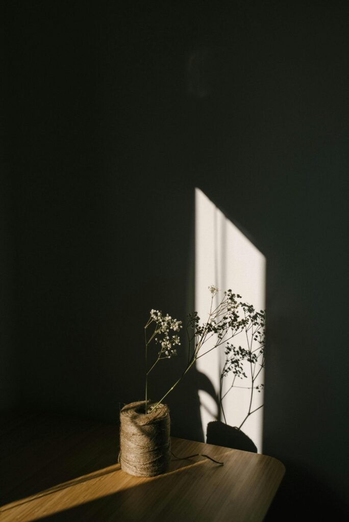 pexels-photo-4792680-4792680-1 White tender flower on thin stem placed on tying twine placed in dark room in ray of light